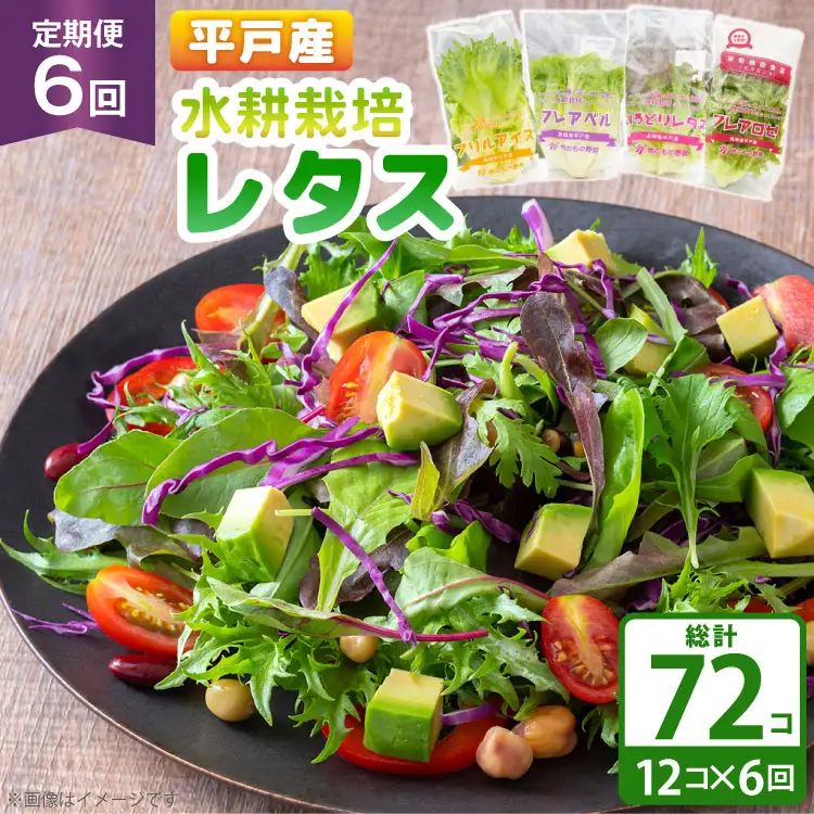 レタス 水耕栽培 4種 12袋 セット 6回 定期便 総計72袋 食べ比べ 詰め合わせ [モロフジファーム 長崎県 平戸市 hr42bgy420230]
