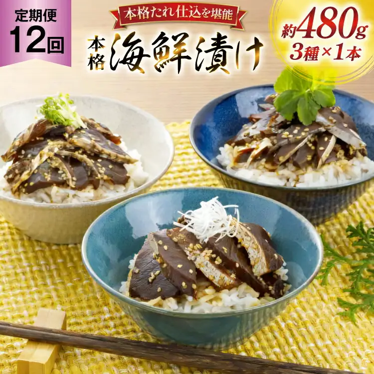 刺身 漬け丼 本格 海鮮漬け セット 160g 3本 12回 定期便 総計5.7kg 詰め合わせ 食べ比べ [よかろ物産 長崎県 平戸市 hr42bgy420101]
