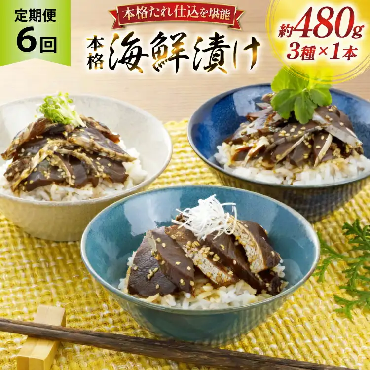 刺身 漬け丼 本格 海鮮漬け セット 160g 3本 6回 定期便 総計2.8kg 詰め合わせ 食べ比べ [よかろ物産 長崎県 平戸市 hr42bgy420106]