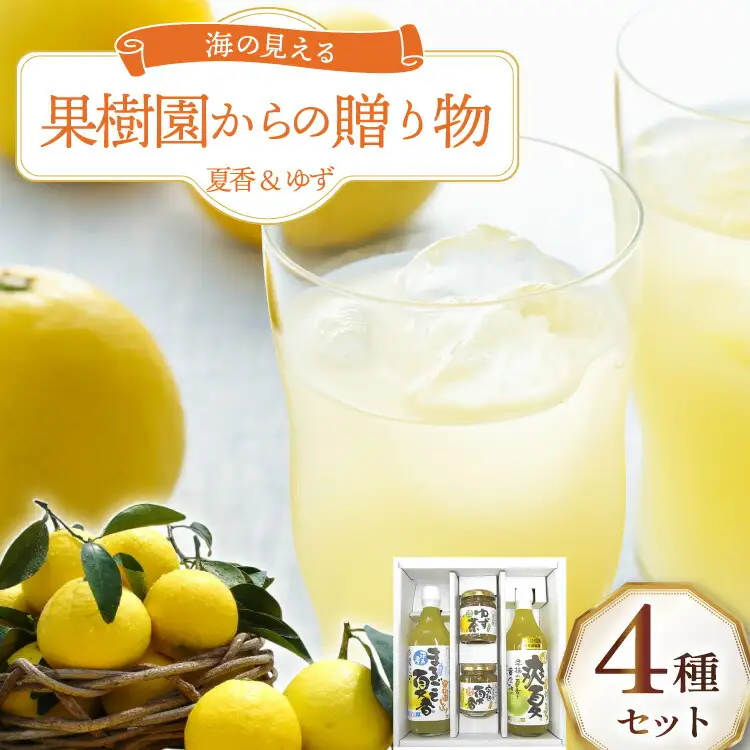 果物 オレンジ 果樹園からの贈り物 4種 セット [善果園 長崎県 平戸市 hr42bgy420171]