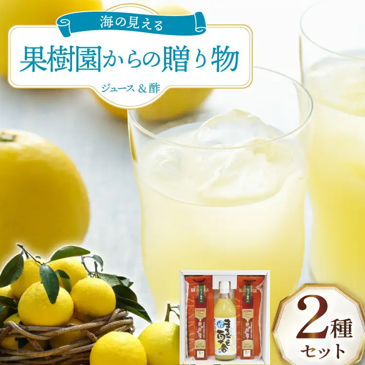 果物 オレンジ 果樹園からの贈り物 2種 セット [善果園 長崎県 平戸市 hr42bgy420172]