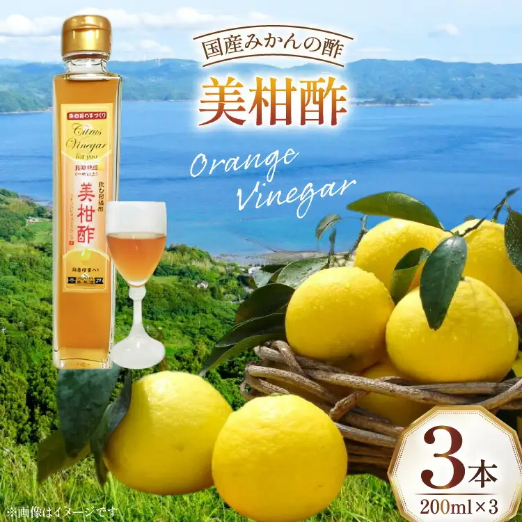 果物 オレンジ シトラス ビネガー 美柑酢 200ml 3本 [善果園 長崎県 平戸市 hr42bgy420191]
