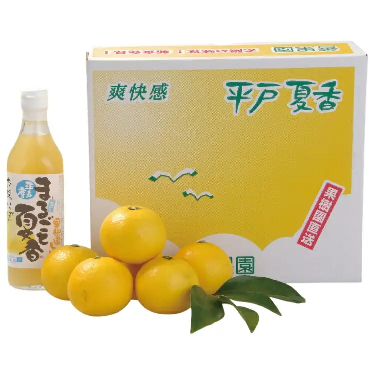 果物 オレンジ 平戸 夏香 ＆ ジュース セット [善果園 長崎県 平戸市 hr42bgy420206]