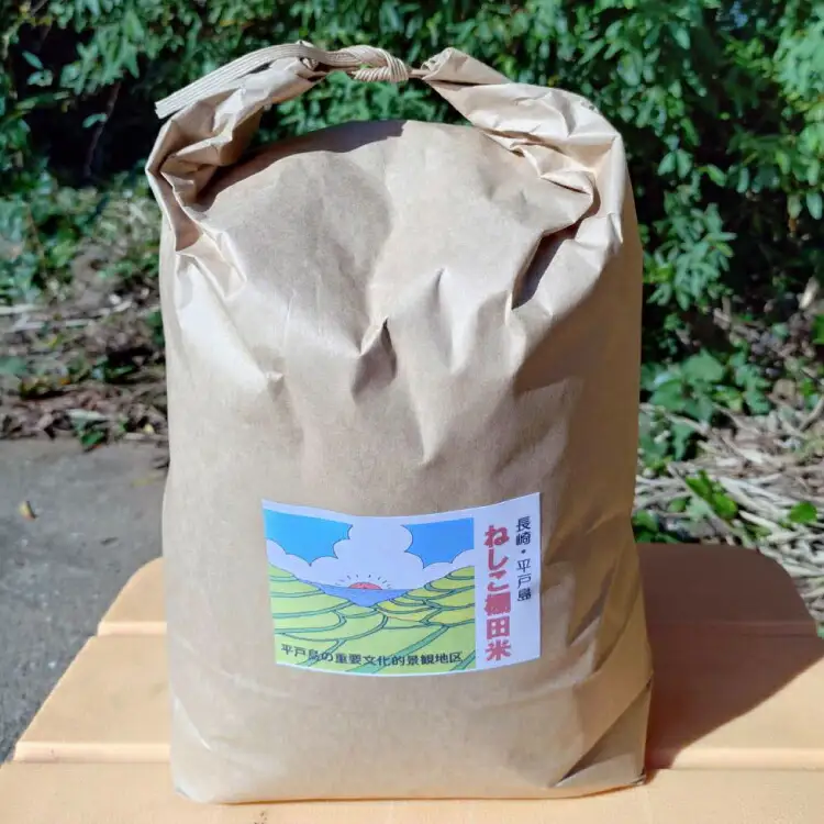 米 白米 ねしこ 棚田米 5kg 【期間限定発送】 [しげさん農園 長崎県 平戸市 hr42bgy420404]