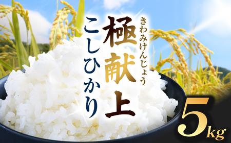 米 お米 コシヒカリ 極献上 こしひかり 5kg 【018-21】