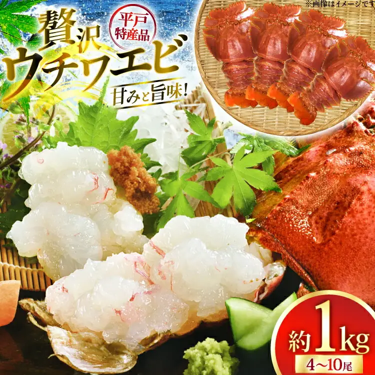 ウチワエビ えび 刺身 平戸 ウチワエビ 三昧 1000g [平戸さくら水産 長崎県 平戸市 hr42bgy420148]