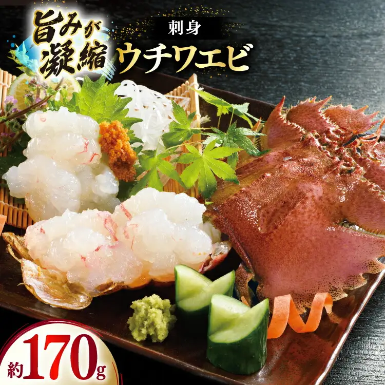 うちわえび エビ 海老 国産 刺し身 冷凍 ウチワエビ 刺身 約170g (ポン酢付) [ひばり 長崎県 平戸市 hr42bgy420060]