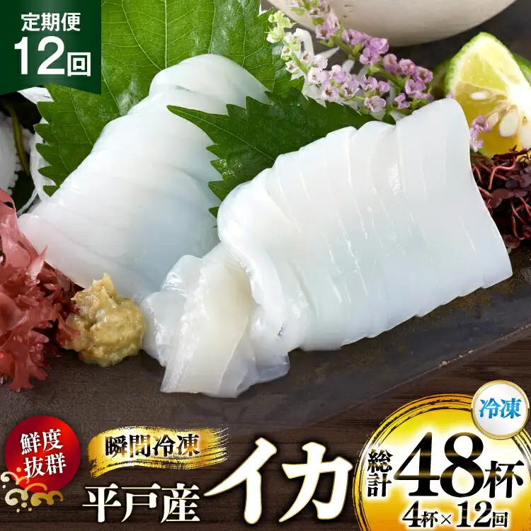 海鮮 魚介 イカ 4杯 1パック（冷凍） 12回 定期便 [舘浦漁協 長崎県 平戸市 hr42bgy420351]