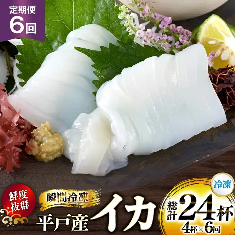 海鮮 魚介 イカ 4杯 1パック（冷凍） 6回 定期便 [舘浦漁協 長崎県 平戸市 hr42bgy420359]