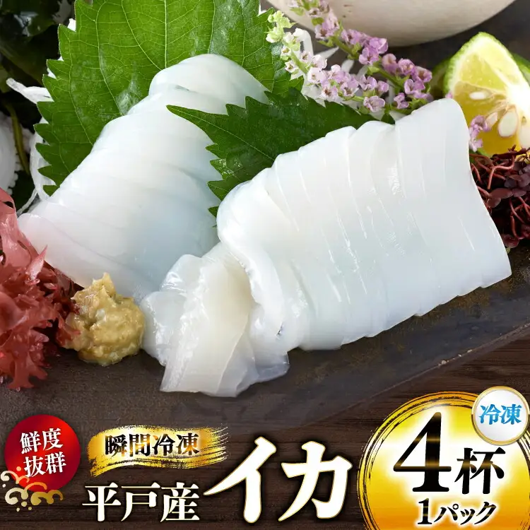 海鮮 魚介 イカ 4杯 1パック（冷凍） [舘浦漁協 長崎県 平戸市 hr42bgy420424]