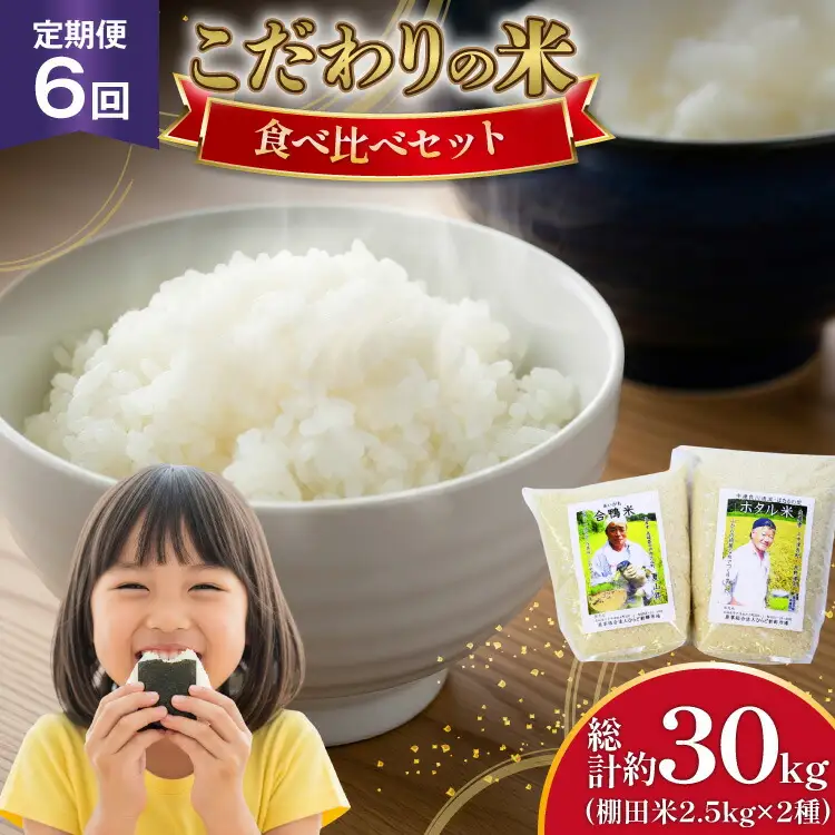 米 令和7年 棚田米 2.5kg 2袋 5kg 6回 定期便 総計 30kg [ひらど新鮮市場 長崎県 平戸市 hr42bgy400028]