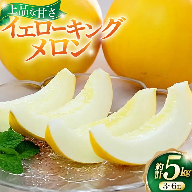 【期間限定発送】 メロン 2026 イエローキングメロン 計 5kg 前後 3玉 ~ 6玉 [ひらど新鮮市場 長崎県 平戸市 hr42bgy400029]