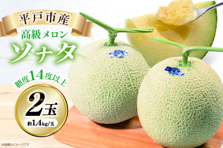 【先行予約】 メロン 2026 ネットメロン ソナタ 2玉 約1.4kg/玉 [ひらど新鮮市場 長崎県 平戸市 hr42bgy400040]
