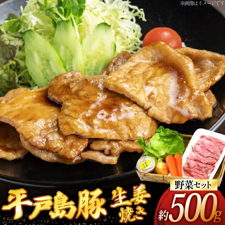 豚肉 生姜焼き 平戸島豚の 生姜焼きセット 約 500g 安心の地元 野菜付 [ひらど新鮮市場 長崎県 平戸市 hr42bgy400178]