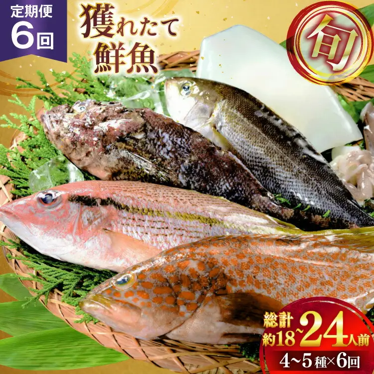 魚 海鮮 地魚 詰合せ4～5種類 6回 定期便 [ひらど新鮮市場 長崎県 平戸市 hr42bgy400191]