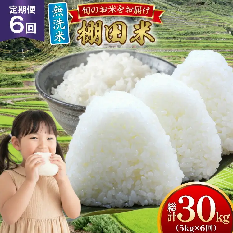 米 令和7年 無洗米 棚田米 5kg 6回 定期便 総計30kg [ひらど新鮮市場 長崎県 平戸市 hr42bgy400194]