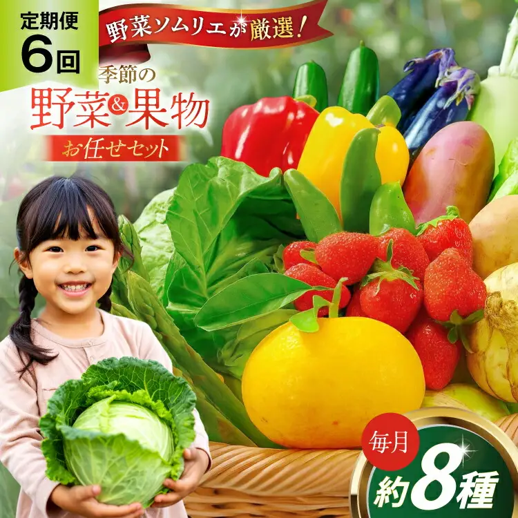 野菜 果物 ソムリエ厳選 地元野菜 果物 6回 定期便 [ひらど新鮮市場 長崎県 平戸市 hr42bgy400196]