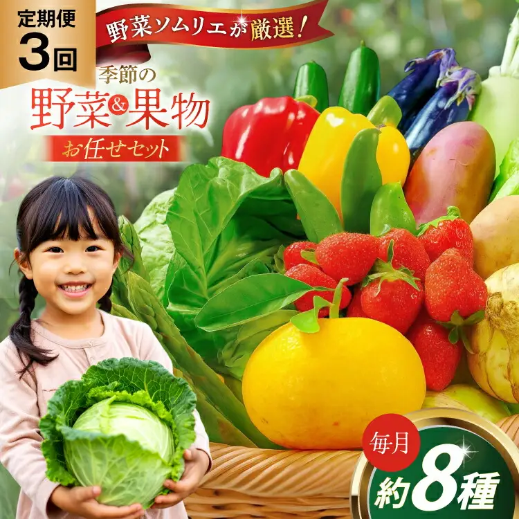野菜 果物 ソムリエ厳選 地元野菜 果物 3回 定期便 [ひらど新鮮市場 長崎県 平戸市 hr42bgy400197]