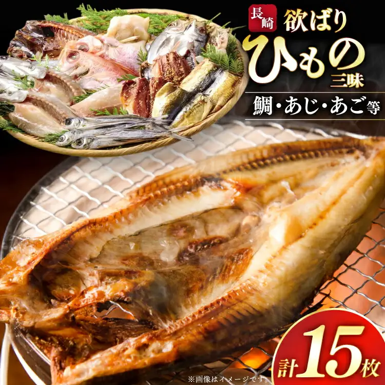 干物 セット 欲ばり 平戸ひもの三昧 9種 詰め合わせ [篠崎海産物店 長崎県 平戸市 hr42bgy410384]