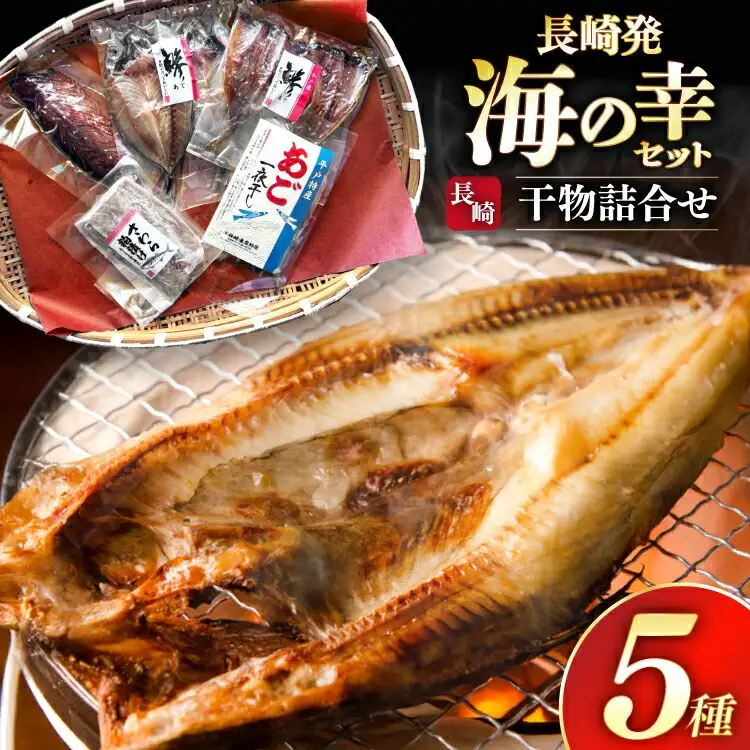 干物 セット お試し 干物 5種 詰め合わせ [篠崎海産物店 長崎県 平戸市 hr42bgy410385]