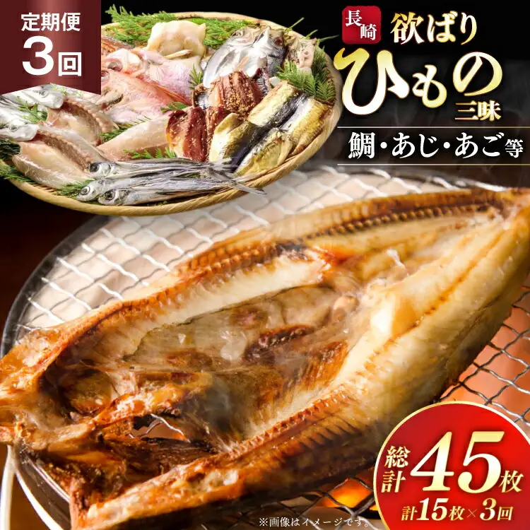 干物 セット 欲ばり平戸ひもの三昧 9種 詰め合わせ 3回 定期便 [篠崎海産物店 長崎県 平戸市 hr42bgy410386]