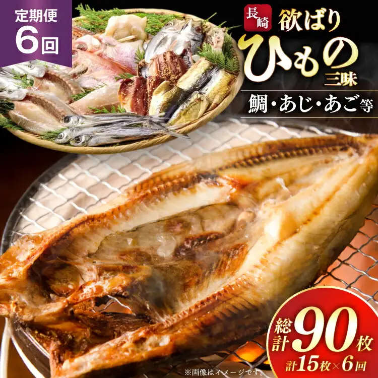 干物 セット 欲ばり平戸ひもの三昧 9種 詰め合わせ 6回 定期便 [篠崎海産物店 長崎県 平戸市 hr42bgy410387]
