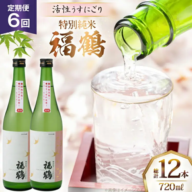 酒 日本酒 福鶴 特別純米 活性うすにごり 720ml 計2本 6回 定期便 [福田酒造 長崎県 平戸市 hr42bgy410119]