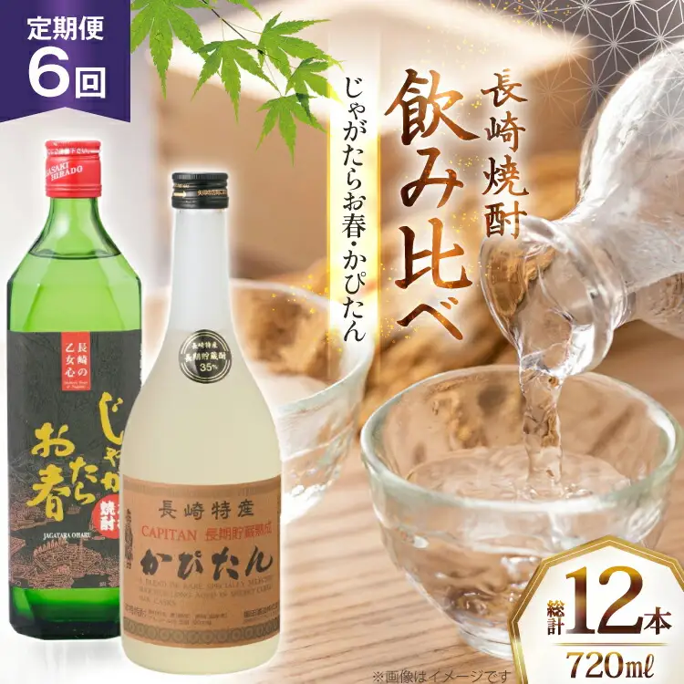 酒 焼酎 じゃがたらお春 かぴたん 720ml 計2本 6回 定期便 [福田酒造 長崎県 平戸市 hr42bgy410135]
