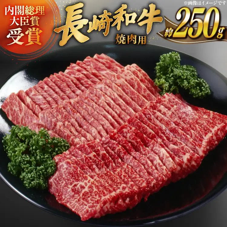 牛肉 長崎和牛 焼肉 約250g [萩原食肉産業 長崎県 平戸市 hr42bgy410247]