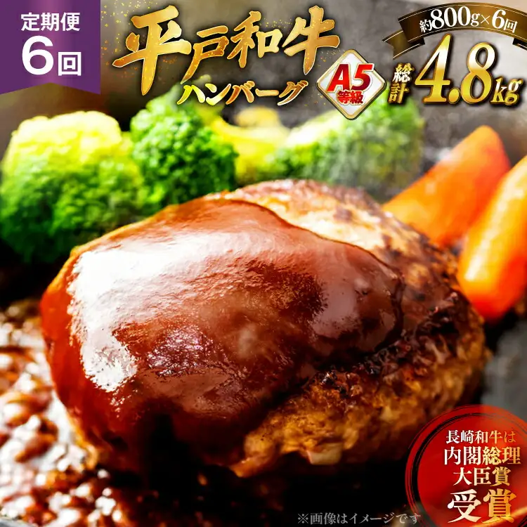 ハンバーグ 牛肉 定期便 A5ランク 平戸牛 和牛 ハンバーグ 約200g×4個 6回 総計24個 [萩原食肉産業 長崎県 平戸市 hr42bgy410013]