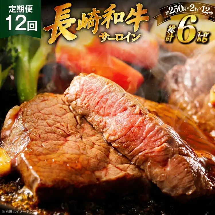 和牛 ステーキ 長崎和牛 サーロイン 250g 2枚 ソース付き 12回 定期便 計6kg [萩原食肉産業 長崎県 平戸市 hr42bgy410030]