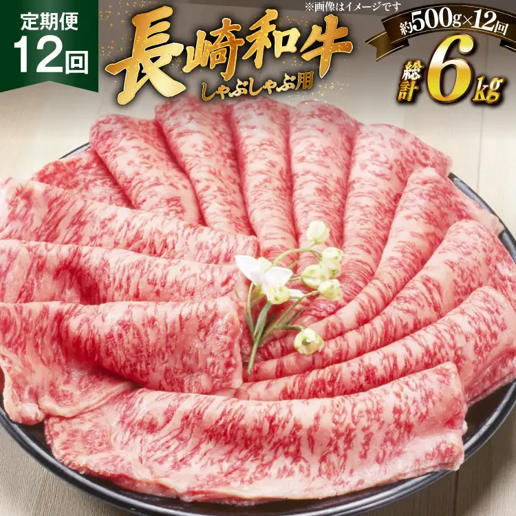 牛肉 長崎和牛 しゃぶしゃぶ用 約250g × 2パック 12回 定期便 総計約 6kg [萩原食肉産業 長崎県 平戸市 hr42bgy410377]