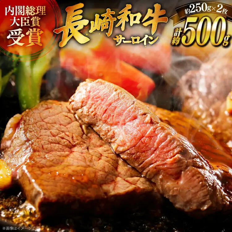 和牛 ステーキ サーロイン 250g ソース付き 2枚 [萩原食肉産業 長崎県 平戸市 hr42bgy410040]