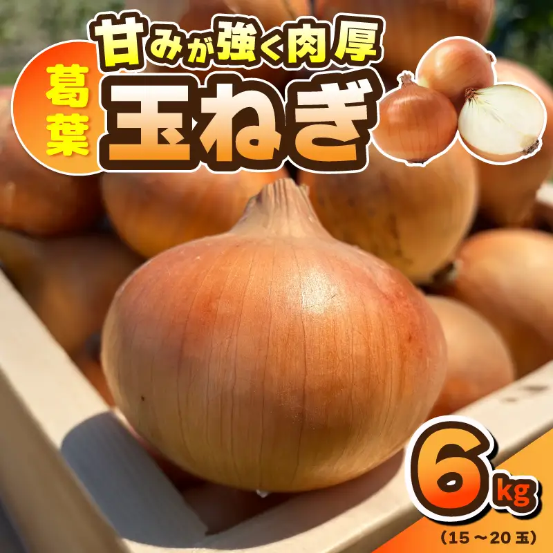 葛葉玉ねぎ 6kg【15〜20玉 泉佐野市 泉州たまねぎ 肉厚 甘い】