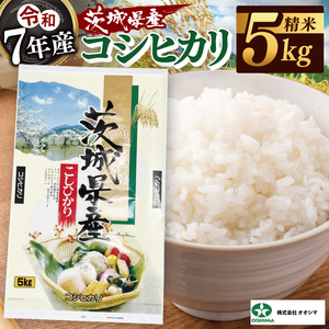 米 コシヒカリ 精米 5kg 茨城県産 白米 国産米 単一原料米 お米 5キロ（94-01）