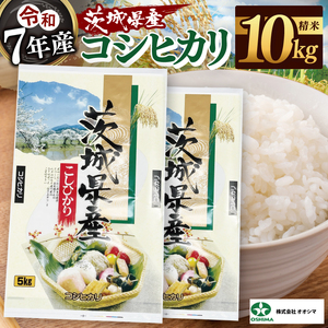 米 コシヒカリ 精米 10kg 茨城県産 白米 国産米 単一原料米 お米 10キロ（94-02）