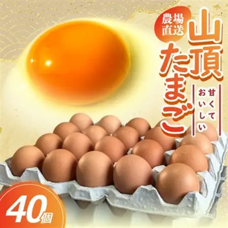 養鶏場から直送!甘くておいしい「山頂たまご」赤たまご　40個【1486633】