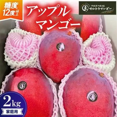【2026年6月下旬から順次発送】マルトウマンゴーの家庭用アップルマンゴー2kg【配送不可地域：離島】【1670257】