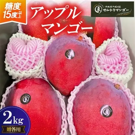 【2026年6月下旬から順次発送】マルトウマンゴーの贈答用アップルマンゴー2kg【配送不可地域：離島】【1670268】