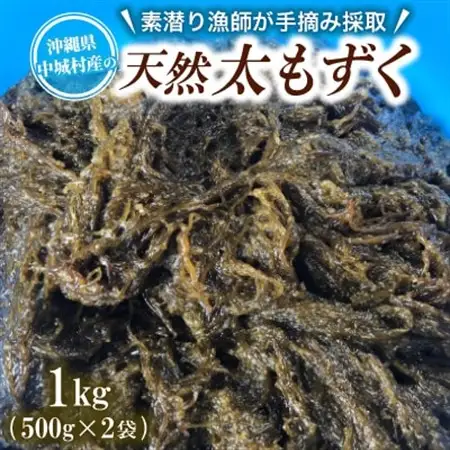 【数量限定・産地直送】素潜り漁師が手摘み採取!幻の天然もずく 塩蔵1kg(500g×2袋)【配送不可地域：離島】【1672256】