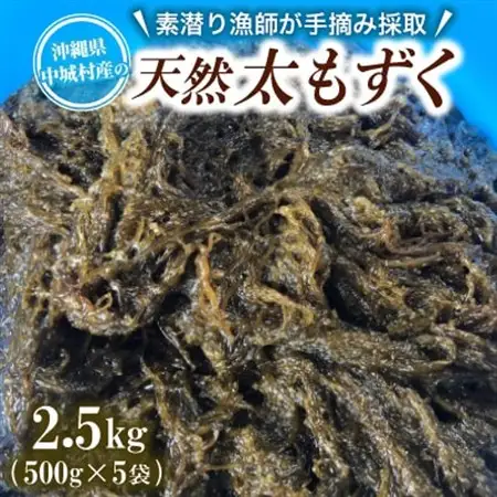 【数量限定・産地直送】素潜り漁師が手摘み採取!幻の天然もずく 塩蔵2.5kg(500g×5袋)【配送不可地域：離島】【1672257】