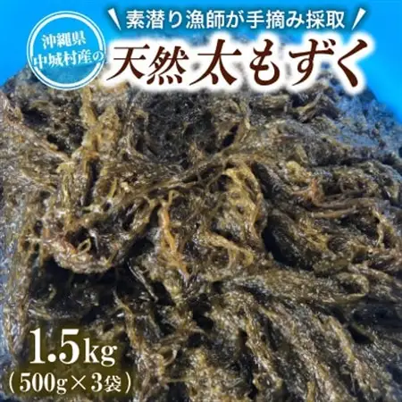 【数量限定・産地直送】素潜り漁師が手摘み採取!幻の天然もずく 塩蔵1.5kg(500g×3袋)【配送不可地域：離島】【1672258】