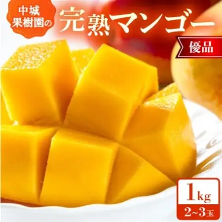 【2026年7月から順次発送・化粧箱】中城果樹園の完熟マンゴー 優品1.0kg(2～3玉)【配送不可地域：離島】【1673160】