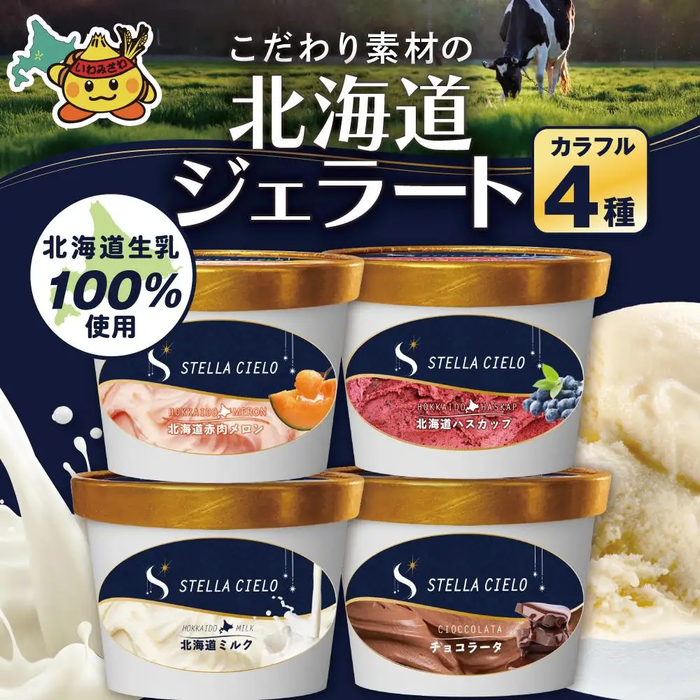 STELLA CIELO 北海道ジェラート4個 カラフル | 北海道ミルク チョコラータ 北海道赤肉メロン 北海道ハスカップ