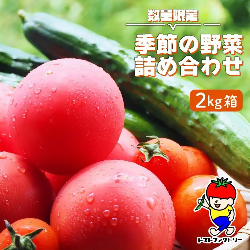 【期間限定】 トマトファクトリー 野菜 詰め合わせ セット トマト きゅうり 2kg 箱入り とまと キュウリ 野菜 やさい 野菜セット 新鮮 採れたて 季節 甘い 糖度 高糖度 あまい 食材 旬 栽培 産地直送 農家直送 農家応援 滋賀県 日野町 ふるさと納税 送料無料