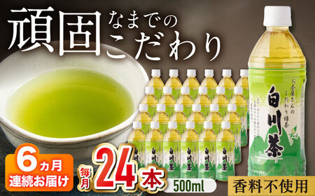 【6回定期便】緑茶ペットボトル 500ml×24本入 / 白川園本舗[AWAT007]緑茶