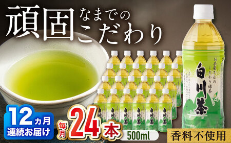 【12回定期便】緑茶ペットボトル 500ml×24本入/ 白川園本舗[AWAT008]緑茶