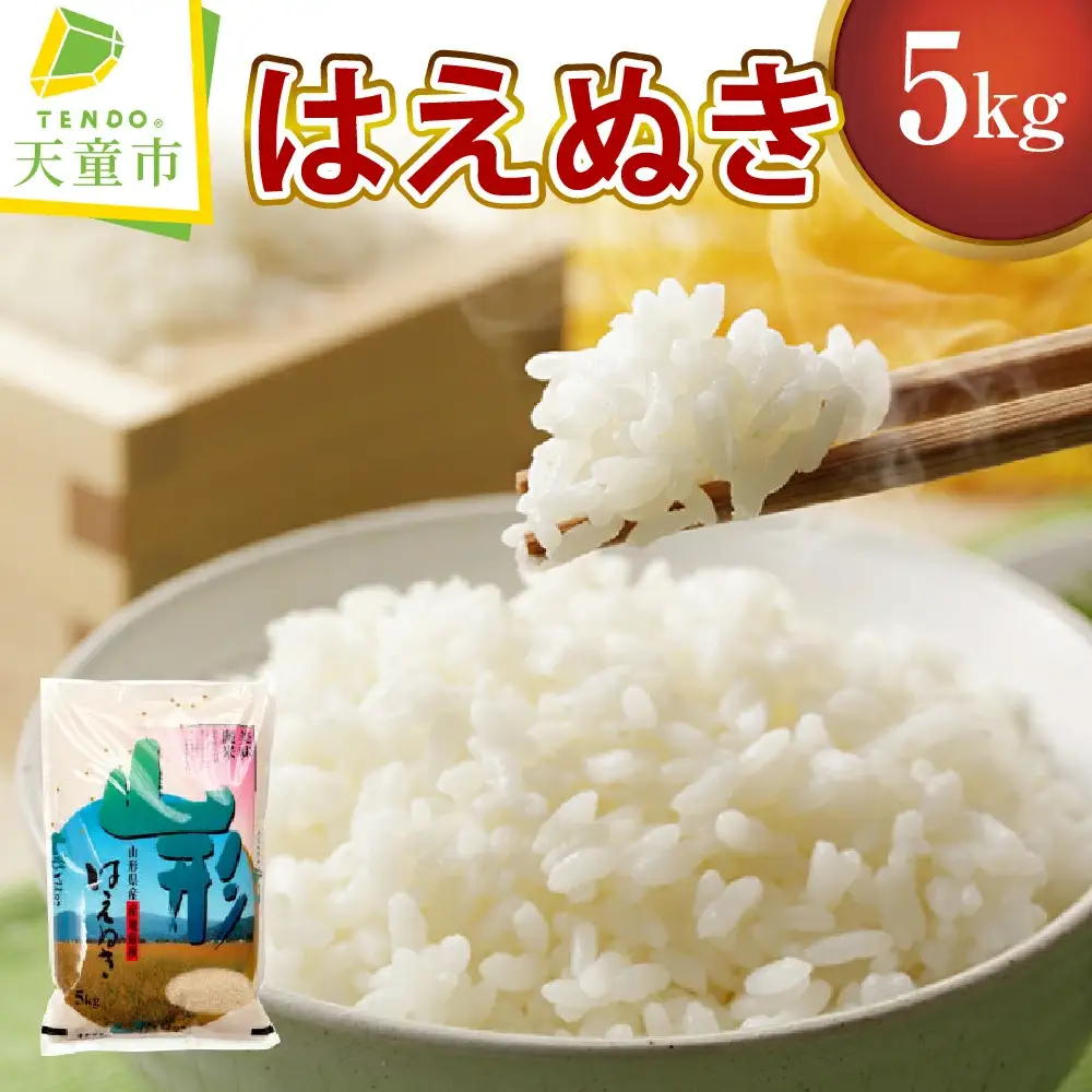 はえぬき 5kg [ 令和7年産 ] 山形 米 精米 08-30-002