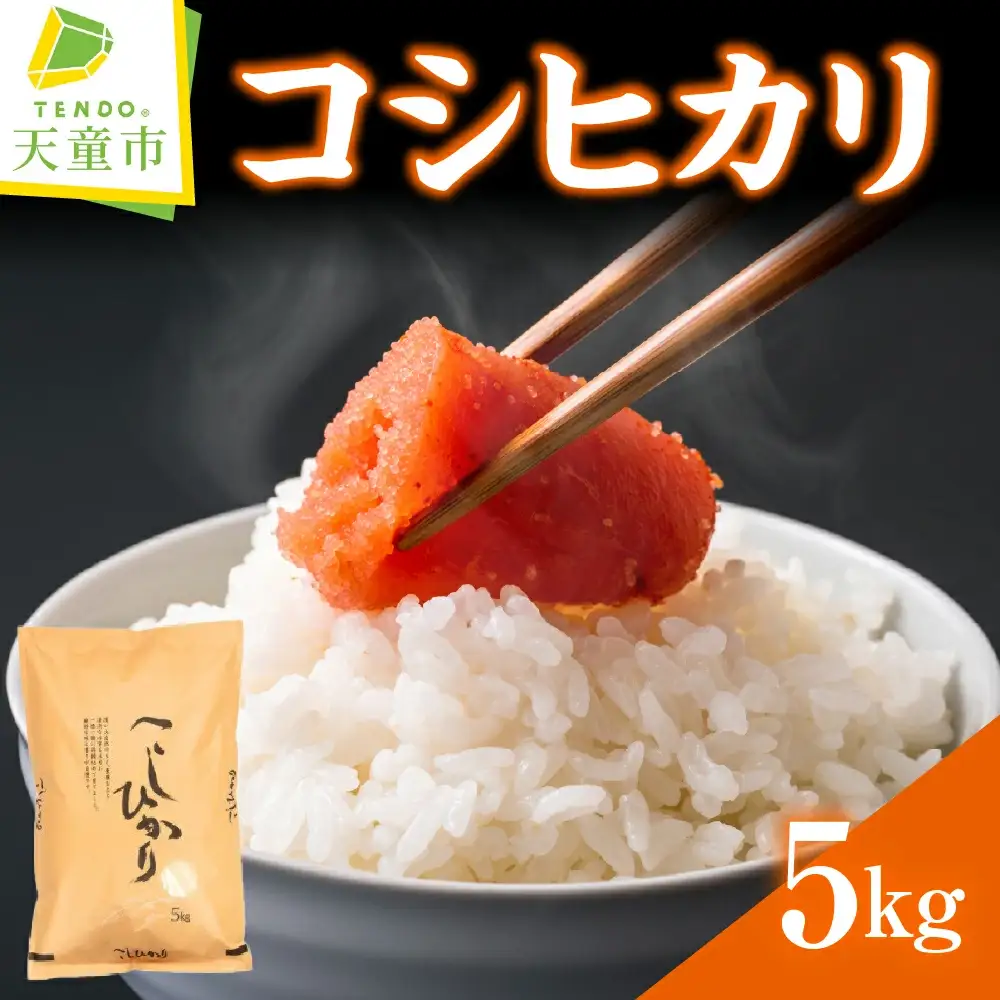 コシヒカリ 5kg [ 令和7年産 ] 米 精米 山形 08-30-036