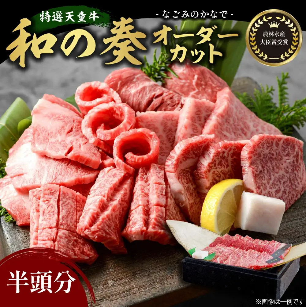 農林水産大臣賞受賞 特選 天童牛 半頭分 山形牛 和の奏 和牛 牛肉 08-27-026